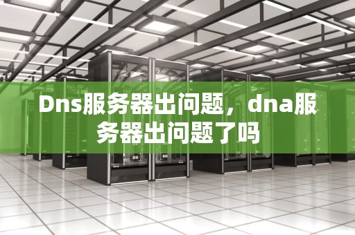 Dns服务器出问题，dna服务器出问题了吗