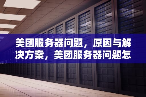 美团服务器问题，原因与解决方案，美团服务器问题怎么解决