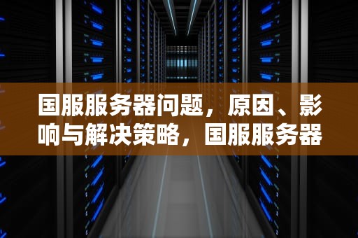 国服服务器问题，原因、影响与解决策略，国服服务器维护中什么意思