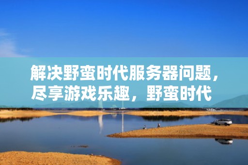 解决野蛮时代服务器问题，尽享游戏乐趣，野蛮时代 服务器问题怎么解决