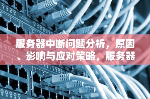 服务器中断问题分析，原因、影响与应对策略，服务器中断问题分析报告