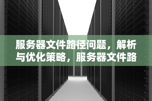 服务器文件路径问题，解析与优化策略，服务器文件路径问题怎么解决