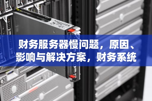 财务服务器慢问题，原因、影响与解决方案，财务系统服务器