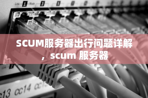 SCUM服务器出行问题详解，scum 服务器