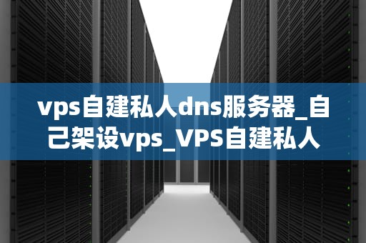 vps自建私人dns服务器_自己架设vps_VPS自建私人DNS服务器的详细指南