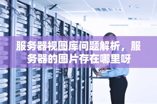 服务器视图库问题解析，服务器的图片存在哪里呀