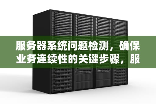 服务器系统问题检测，确保业务连续性的关键步骤，服务器系统问题检测方法