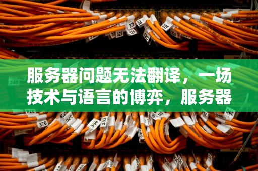 服务器问题无法翻译，一场技术与语言的博弈，服务器问题无法翻译英文