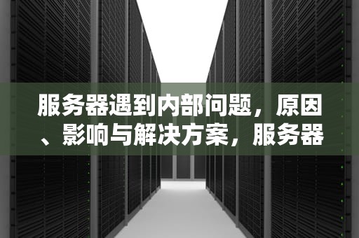 服务器遇到内部问题，原因、影响与解决方案，服务器遇到内部问题怎么解决