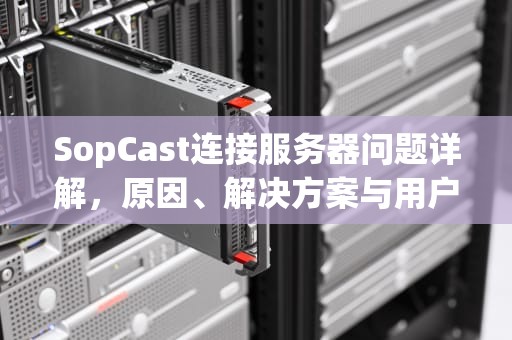 SopCast连接服务器问题详解，原因、解决方案与用户指南，soap连接失败