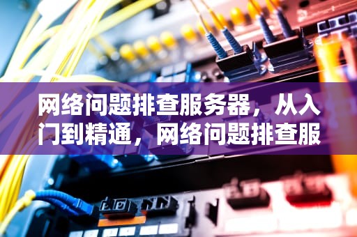 网络问题排查服务器，从入门到精通，网络问题排查服务器异常