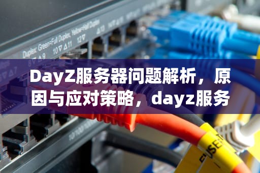 DayZ服务器问题解析，原因与应对策略，dayz服务器崩溃