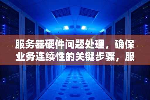 服务器硬件问题处理，确保业务连续性的关键步骤，服务器硬件问题处理方法
