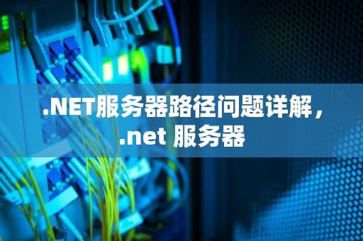 .NET服务器路径问题详解，.net 服务器