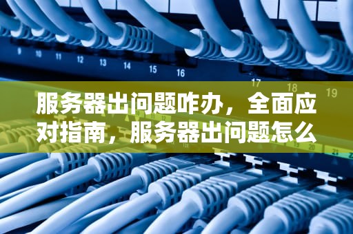 服务器出问题咋办，全面应对指南，服务器出问题怎么办
