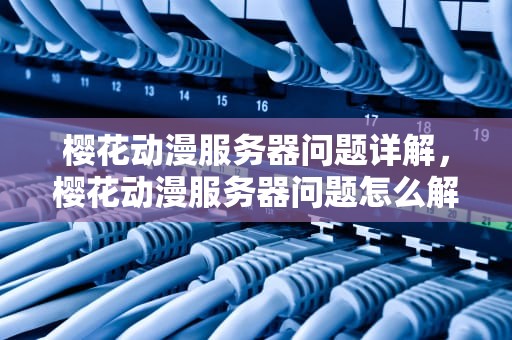 樱花动漫服务器问题详解，樱花动漫服务器问题怎么解决