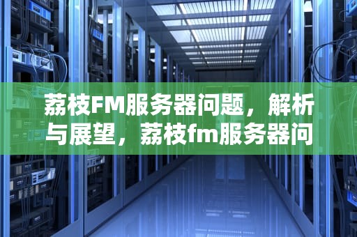 荔枝FM服务器问题，解析与展望，荔枝fm服务器问题怎么解决