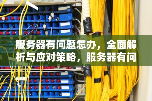服务器有问题怎办，全面解析与应对策略，服务器有问题怎么办