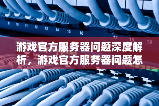 游戏官方服务器问题深度解析，游戏官方服务器问题怎么解决