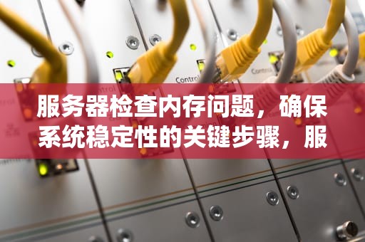 服务器检查内存问题，确保系统稳定性的关键步骤，服务器检查内存问题怎么查