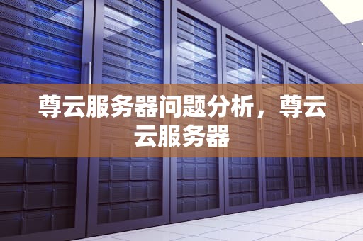 尊云服务器问题分析，尊云云服务器