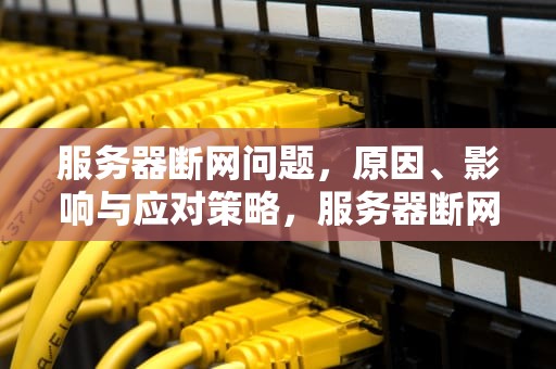 服务器断网问题，原因、影响与应对策略，服务器断网问题怎么解决
