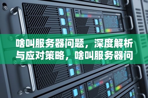 啥叫服务器问题，深度解析与应对策略，啥叫服务器问题啊
