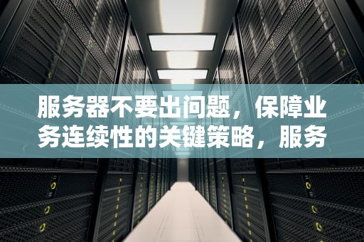 服务器不要出问题，保障业务连续性的关键策略，服务器出了点问题