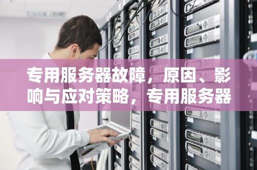 专用服务器故障，原因、影响与应对策略，专用服务器发生问题 光环无限吧