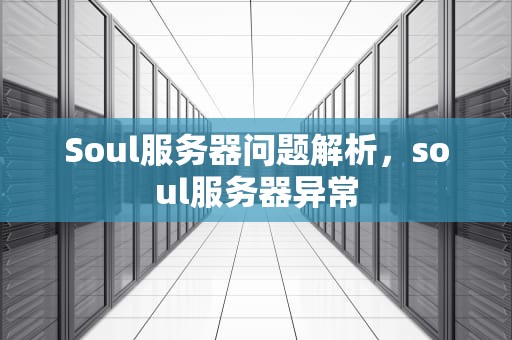 Soul服务器问题解析，soul服务器异常