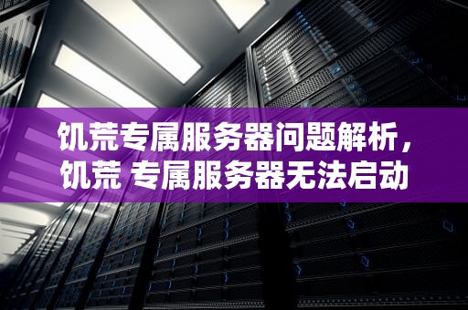 饥荒专属服务器问题解析，饥荒 专属服务器无法启动
