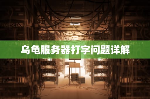 乌龟服务器打字问题详解