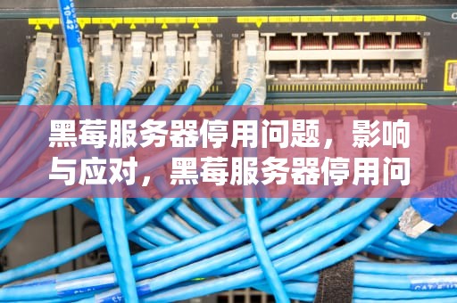 黑莓服务器停用问题，影响与应对，黑莓服务器停用问题怎么解决