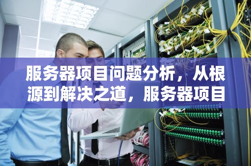 服务器项目问题分析，从根源到解决之道，服务器项目问题分析报告