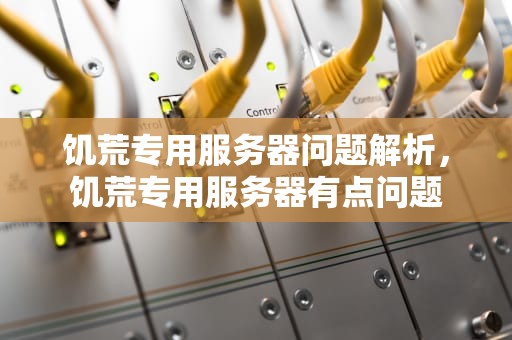 饥荒专用服务器问题解析，饥荒专用服务器有点问题