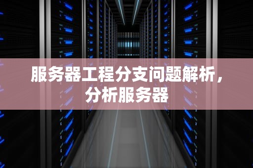 服务器工程分支问题解析，分析服务器