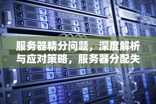 服务器精分问题，深度解析与应对策略，服务器分配失败怎么办?