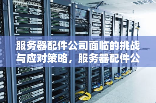 服务器配件公司面临的挑战与应对策略，服务器配件公司问题分析