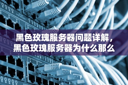 黑色玫瑰服务器问题详解，黑色玫瑰服务器为什么那么卡