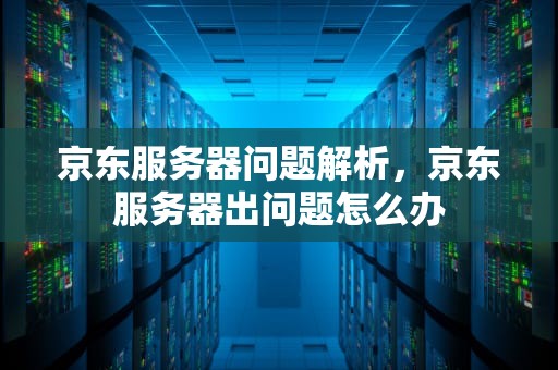 京东服务器问题解析，京东服务器出问题怎么办