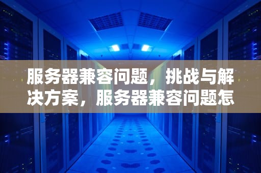 服务器兼容问题，挑战与解决方案，服务器兼容问题怎么解决