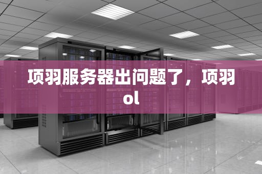 项羽服务器出问题了，项羽ol