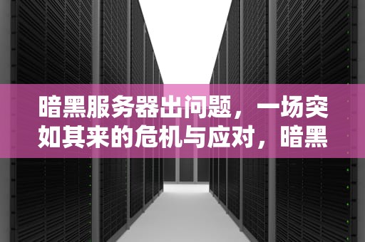 暗黑服务器出问题，一场突如其来的危机与应对，暗黑服务器出问题怎么解决
