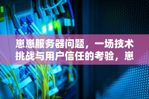 崽崽服务器问题，一场技术挑战与用户信任的考验，崽崽一直进不去