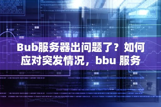 Bub服务器出问题了？如何应对突发情况，bbu 服务器