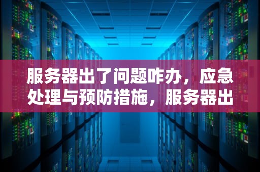 服务器出了问题咋办，应急处理与预防措施，服务器出了问题咋办啊