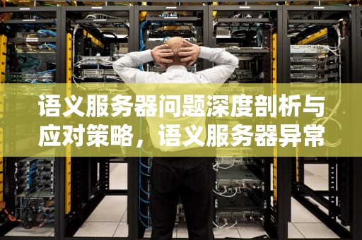 语义服务器问题深度剖析与应对策略，语义服务器异常