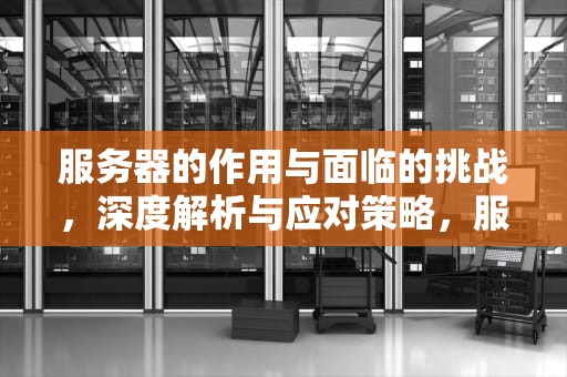 服务器的作用与面临的挑战，深度解析与应对策略，服务器的作用和问题有哪些