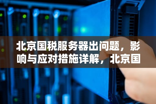 北京国税服务器出问题，影响与应对措施详解，北京国税服务器地址