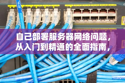 自己部署服务器网络问题，从入门到精通的全面指南，自己部署服务器网络问题怎么解决
